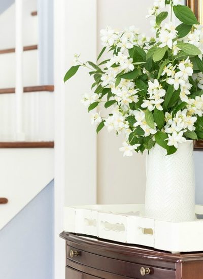 home style saturdays paint colors fi