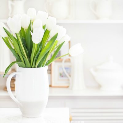 spring white tulips pitchers on shelves fi