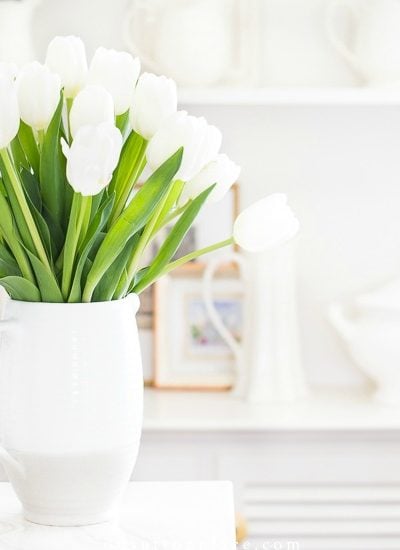 spring white tulips pitchers on shelves fi