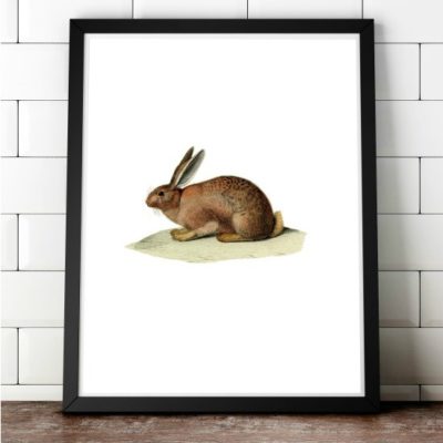 framed vintage bunny printable fi