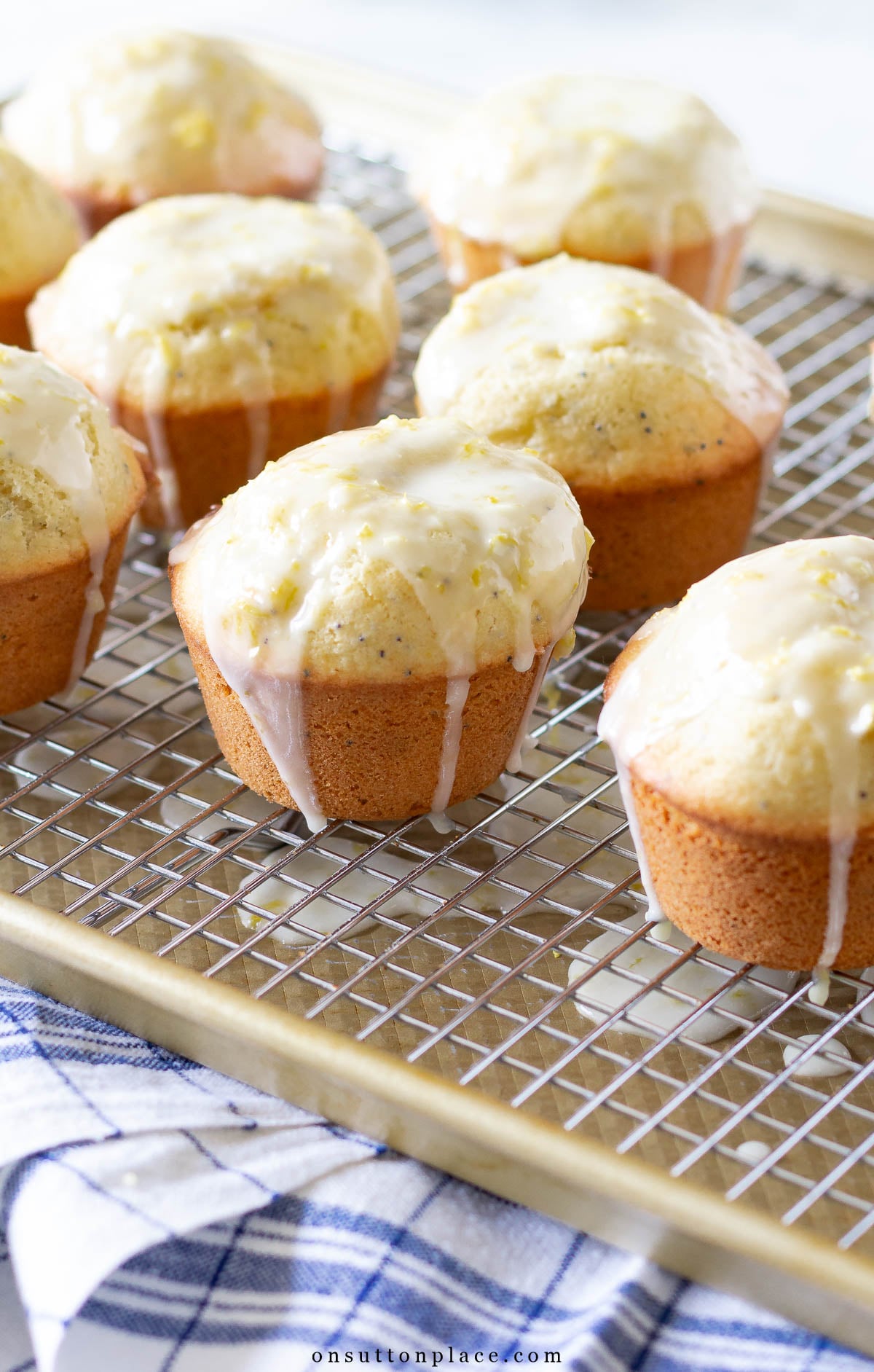 lemon poppy seed muffins recipe on cooking rack with glaze