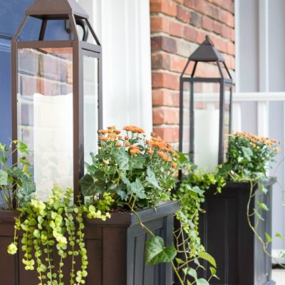 fall lantern planter fi