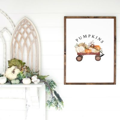 pumpkins framed 2019 fi