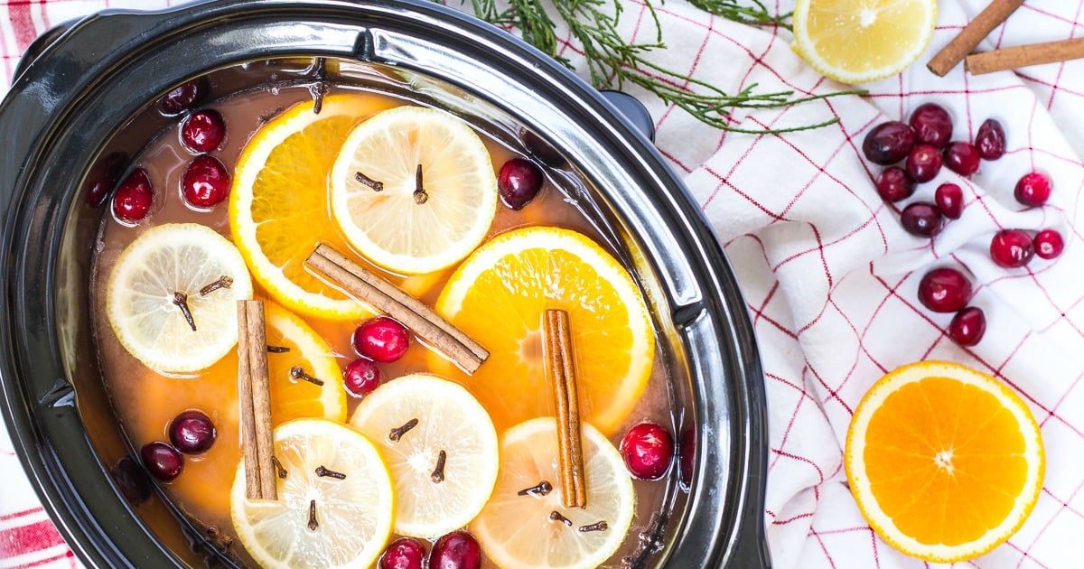 Slow Cooker Hot Wassail Recipe - TheMamasGirls