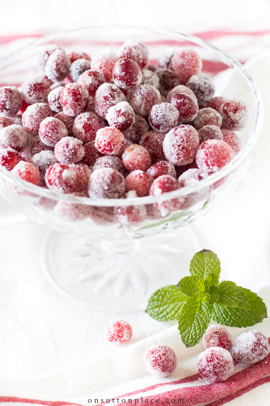 The Ultimate List of Christmas Ideas features crafts, recipes, decor, wreaths, and more. Savor the season and get inspiration for a new holiday project! sugared cranberries in crystal bowl
