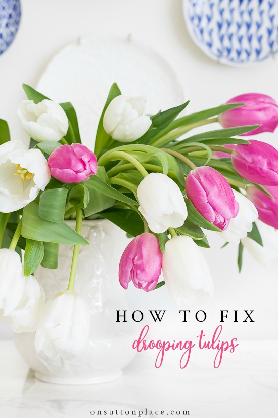 How to Fix Drooping Tulips It's Easy! On Sutton Place