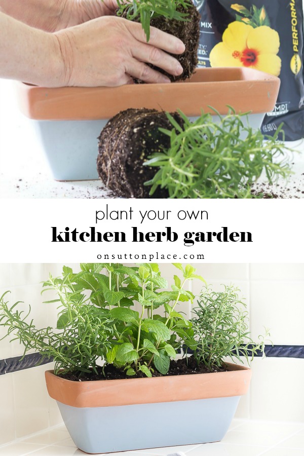 Small Herb Garden for the Kitchen On Sutton Place