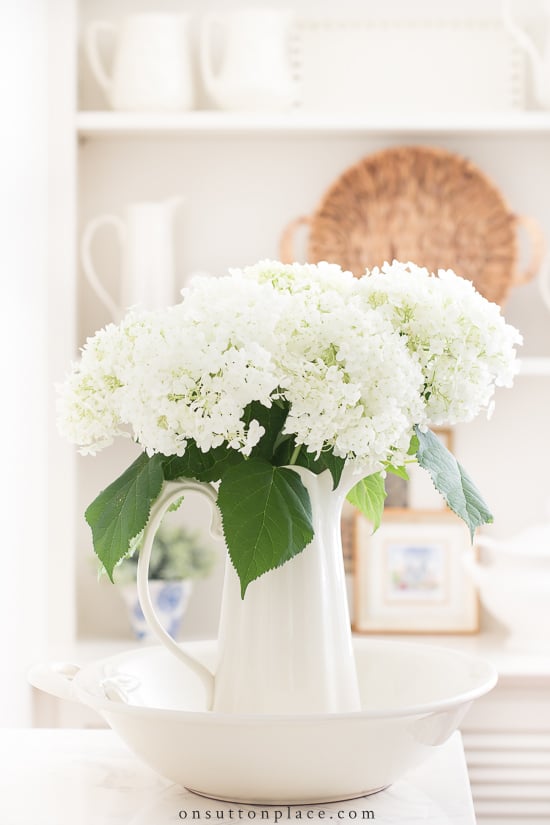 Image of Gatsby Star Hydrangea in a vase