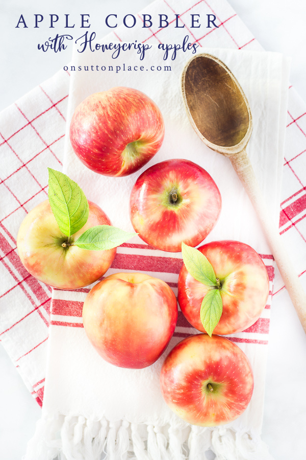 Skillet Honeycrisp Apple Cobbler Recipe On Sutton Place