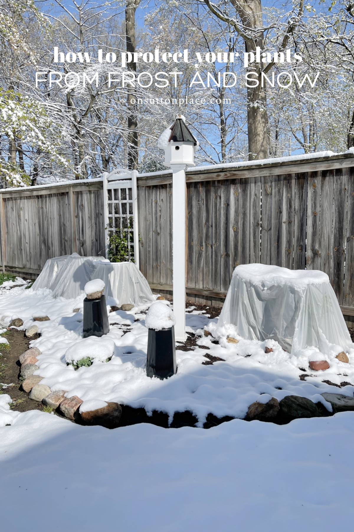 How to Protect Plants from Frost & Snow On Sutton Place