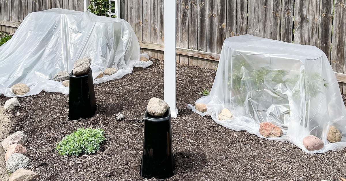 How to Protect Plants from Frost & Snow On Sutton Place