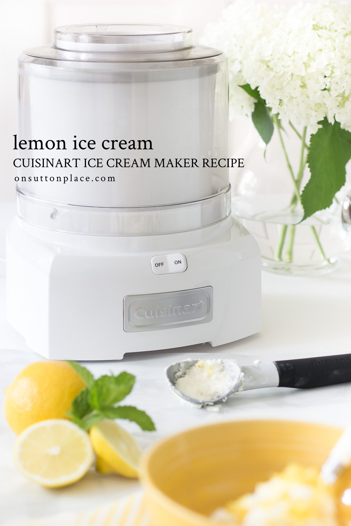 Homemade Lemon Ice Cream Recipe On Sutton Place
