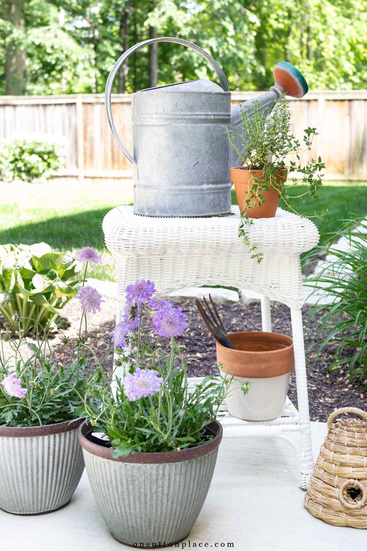 garden vignette with galvanized watering can thyme plant and little bee skep