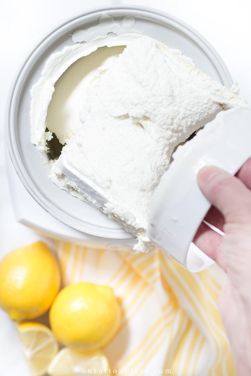 A bowl of no cook vanilla bean ice cream