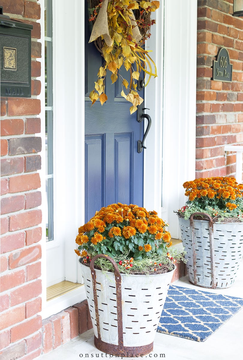 https://www.onsuttonplace.com/wp-content/uploads/2022/08/2022-fall-mum-planters-in-olive-buckets-on-porch-.jpg