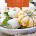 how to preserve pumpkins for fall decor pin with text box