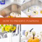 how to preserve pumpkins from rotting collage pin
