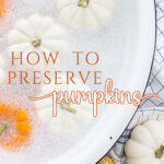 pumpkins in soap suds to preserve for fall decor tall pin