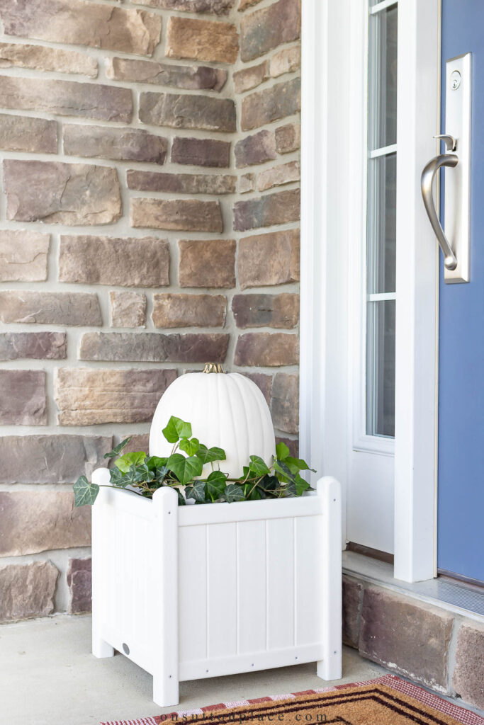 white pumpkin planter with ivy