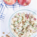 honeycrisp apple salad recpe pin with text 2025