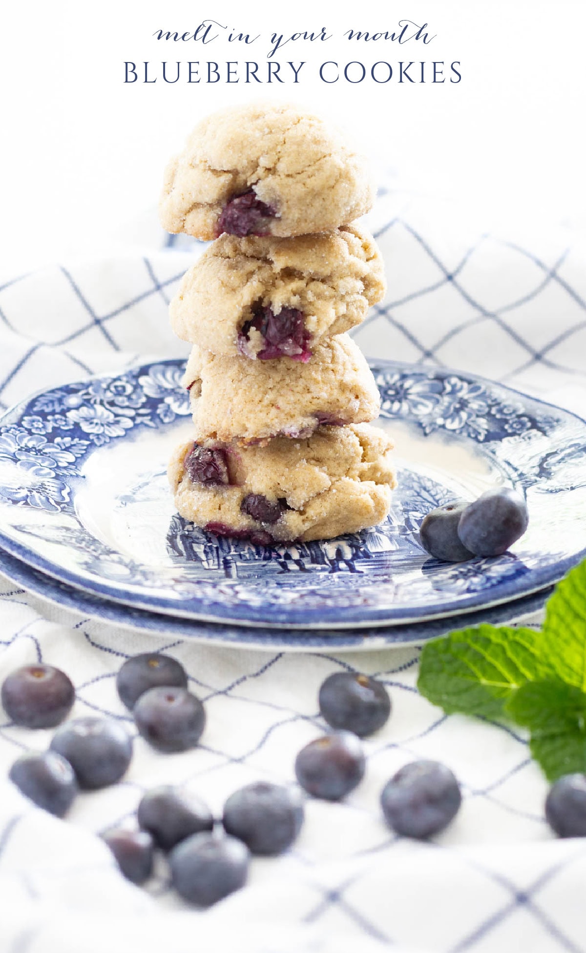 Blueberry Cookies Recipe - On Sutton Place