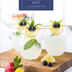 10 reasons to grown a mint plant pin with text box