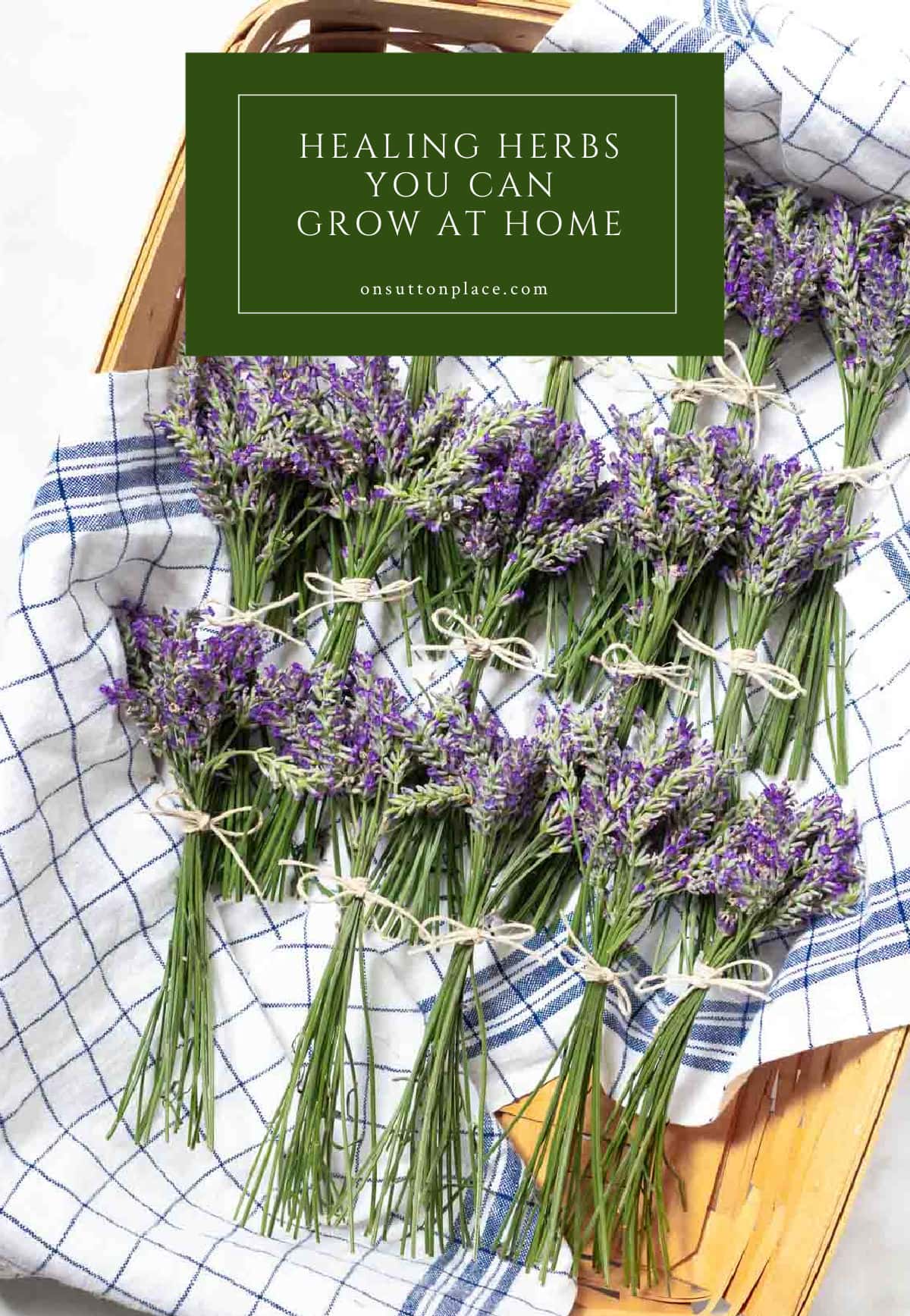 Healing Herbs You Can Grow At Home - On Sutton Place