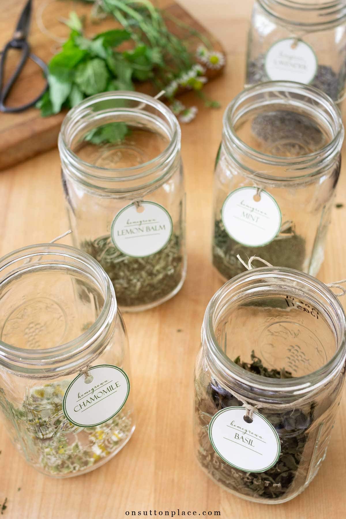 dried herbs in jars with printable tags 2025