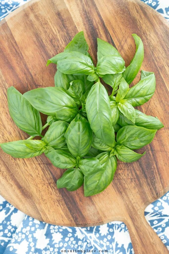 leaves of basil on round wood cutting board