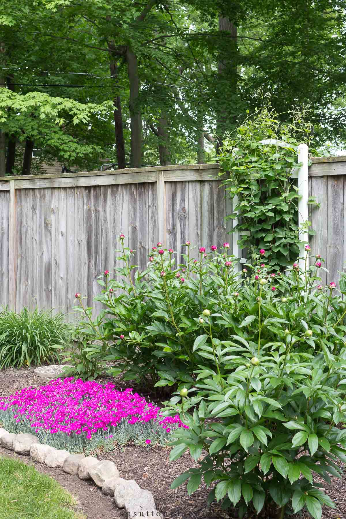 top page border garden