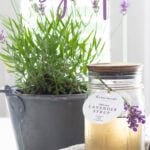 lavender simple syrup recipe tall pin