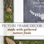 picture frame decor made with gathered nature finds pin