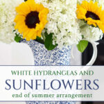 white hydrangeas sunflowers end of summer arrangement pin