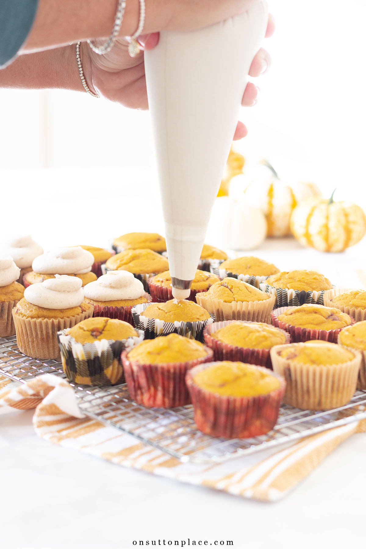 piping bag with pumpkin snickerdoodle cupcakes 2024 cream cheese frosting
