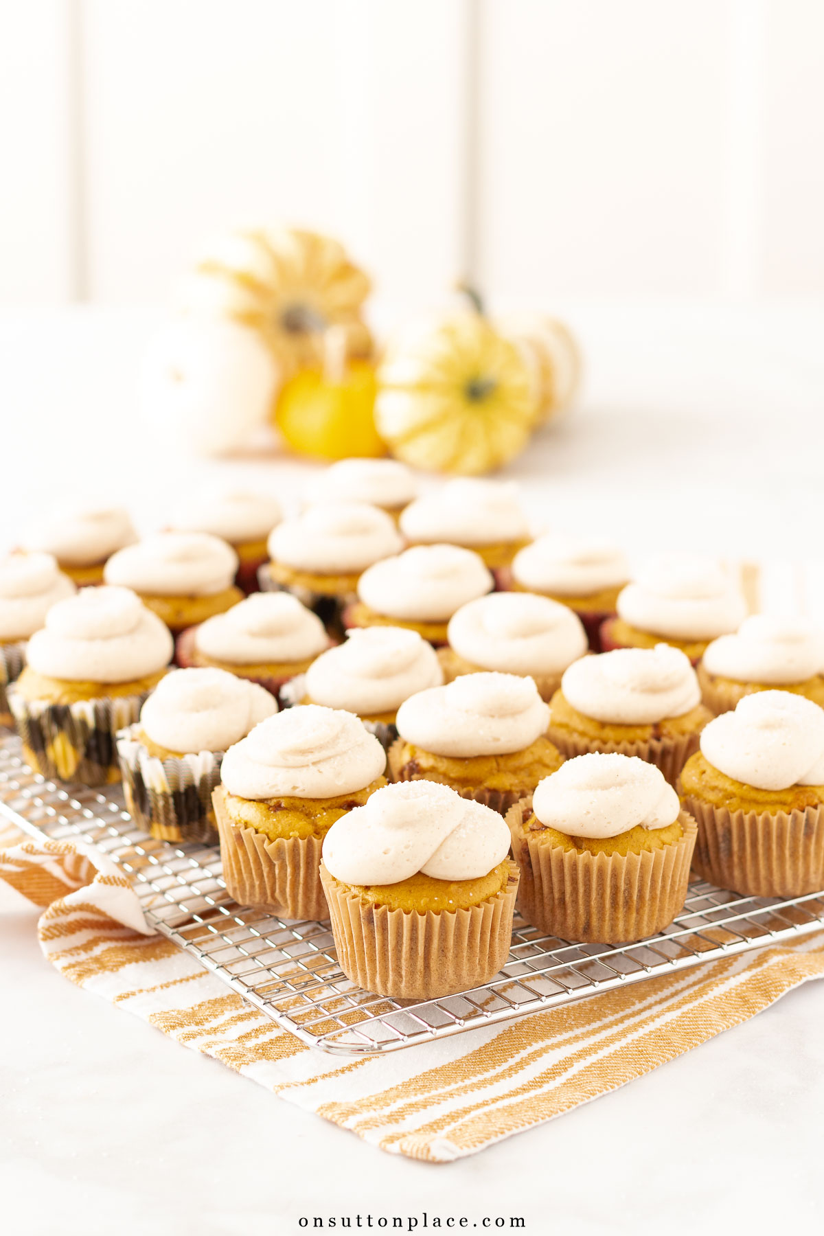 pumpkin snickerdoodle cupcakes with cream cheese frosting 2024