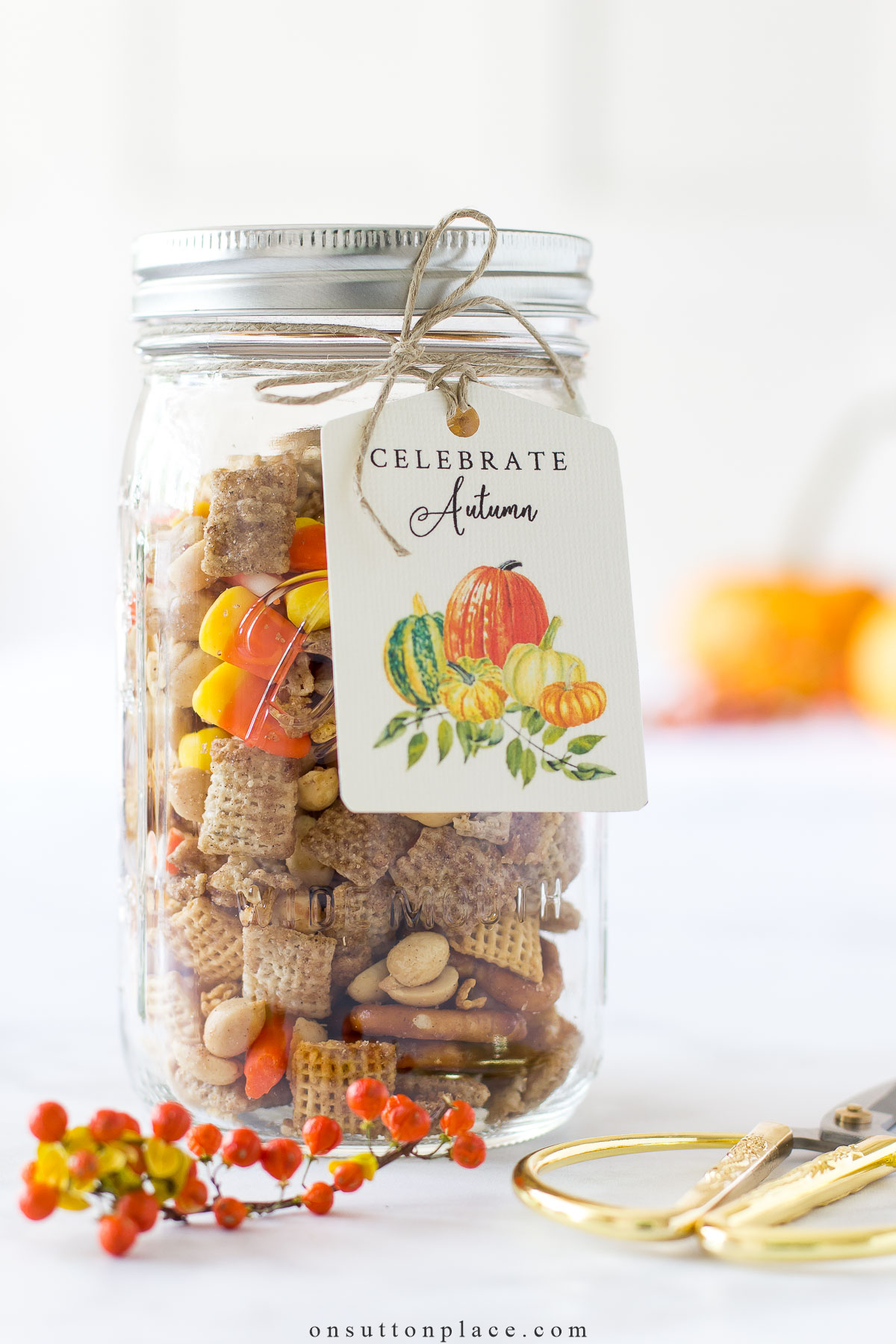 sweet chex mix recipe in mason jar with fall gift tag 2023