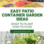 easy patio container garden ideas what to plant how to plan