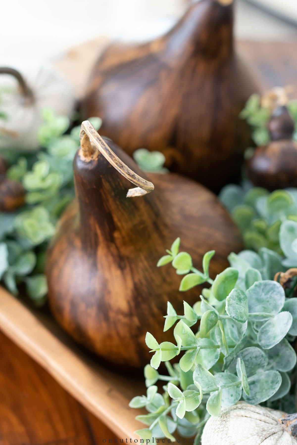 stained dried gourds in dough bowl with eucalyptus hss