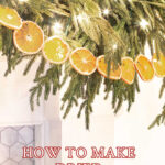 how to make dried orange slices tall pin outline text