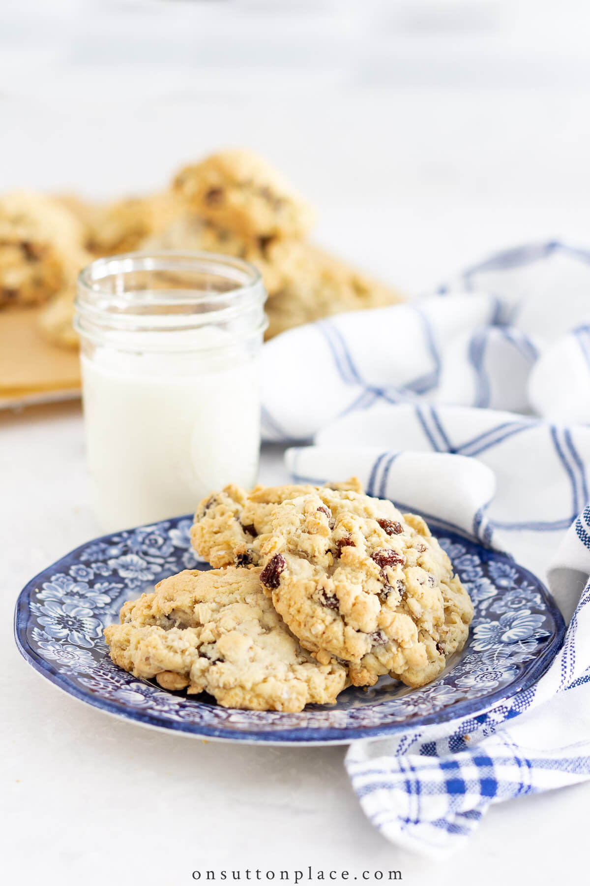 oatmeal raisin cookies on blue plate reduced