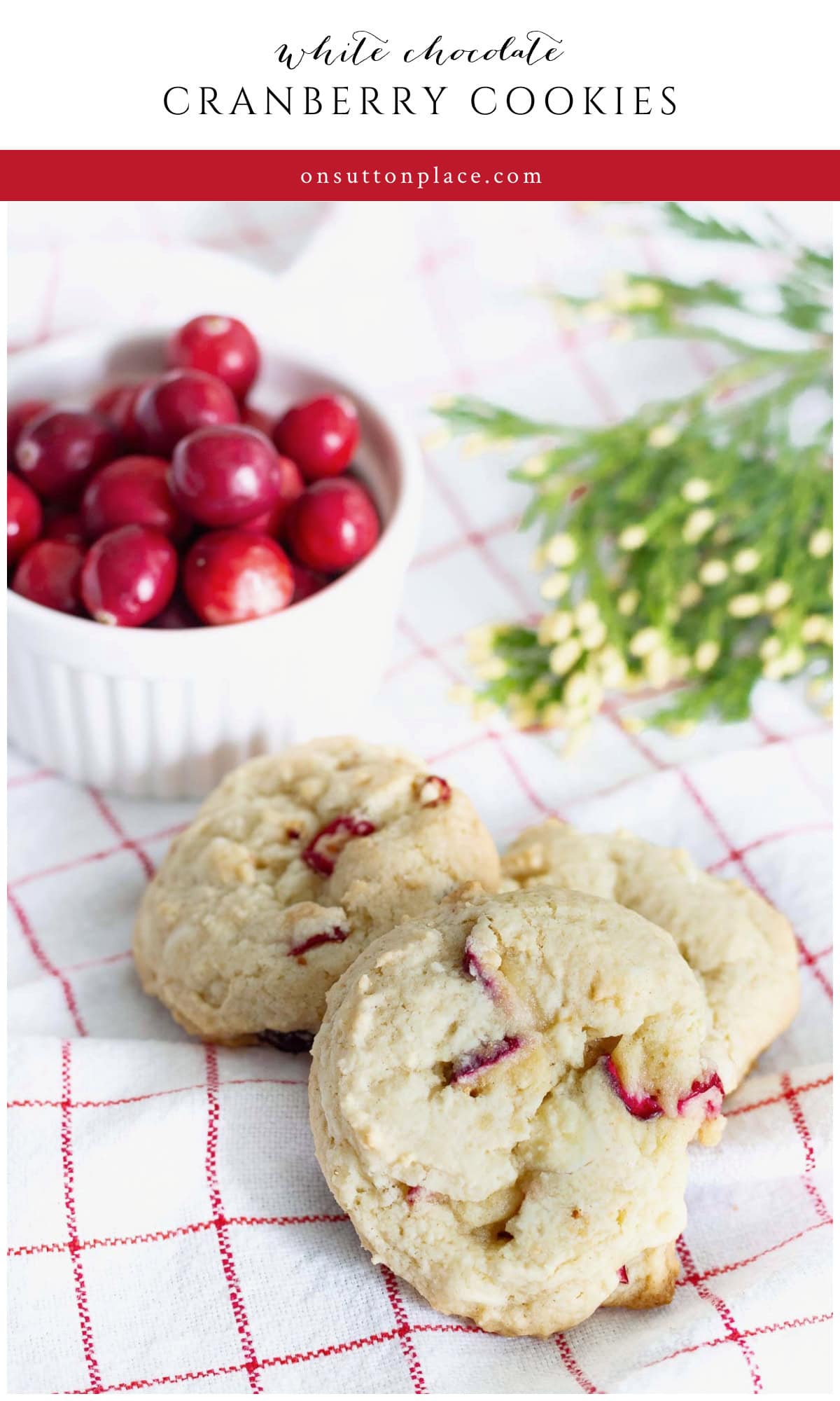 White Chocolate Cranberry Cookies Recipe - On Sutton Place