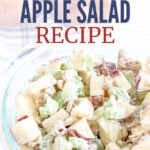 classic apple salad recipe easy waldorf salad with walnuts celery