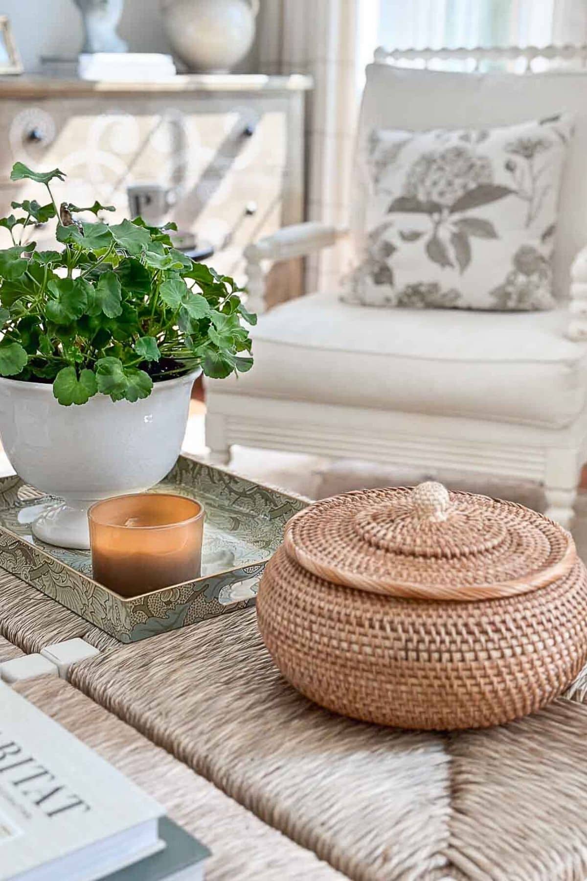 coffee table vignette with live plant in urn and candle stonegable www