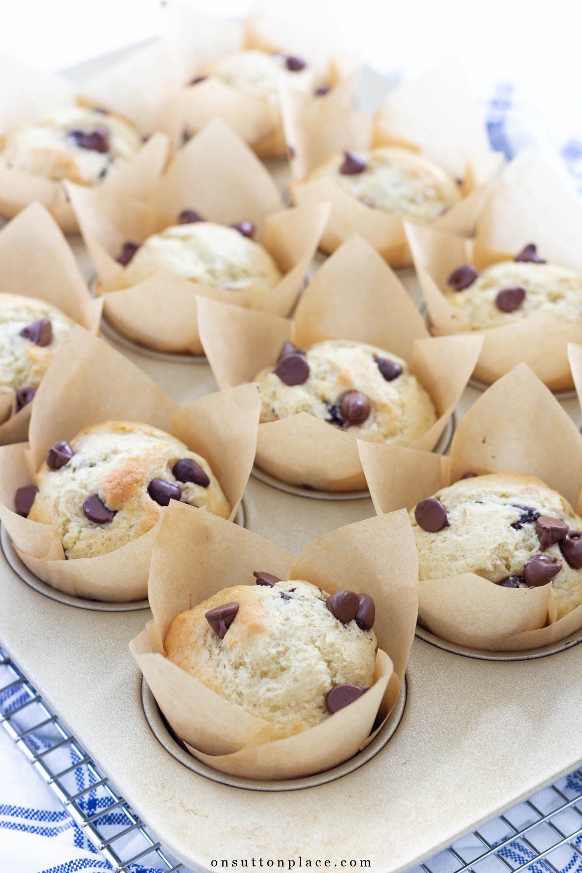chocolate chip muffins recipe in tulip wrappers 1