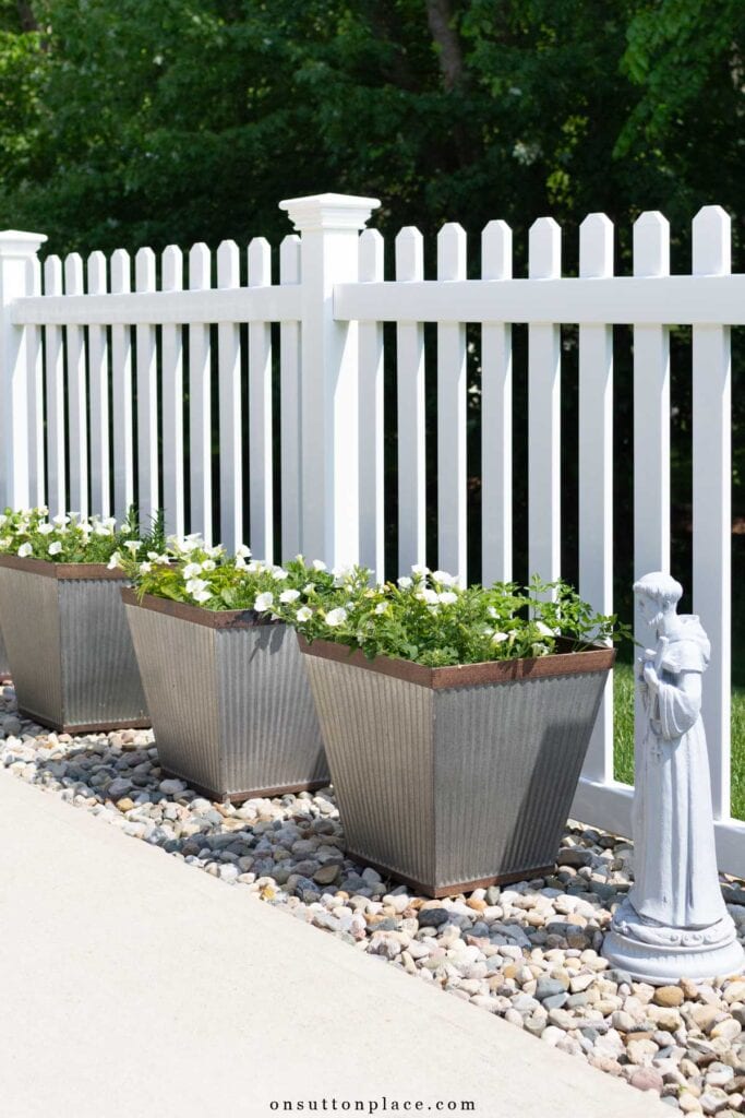 container garden with annuals and herbs st. francis garden statue