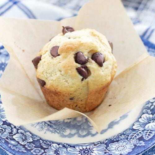 homemade chocolate chip muffin on blue plate
