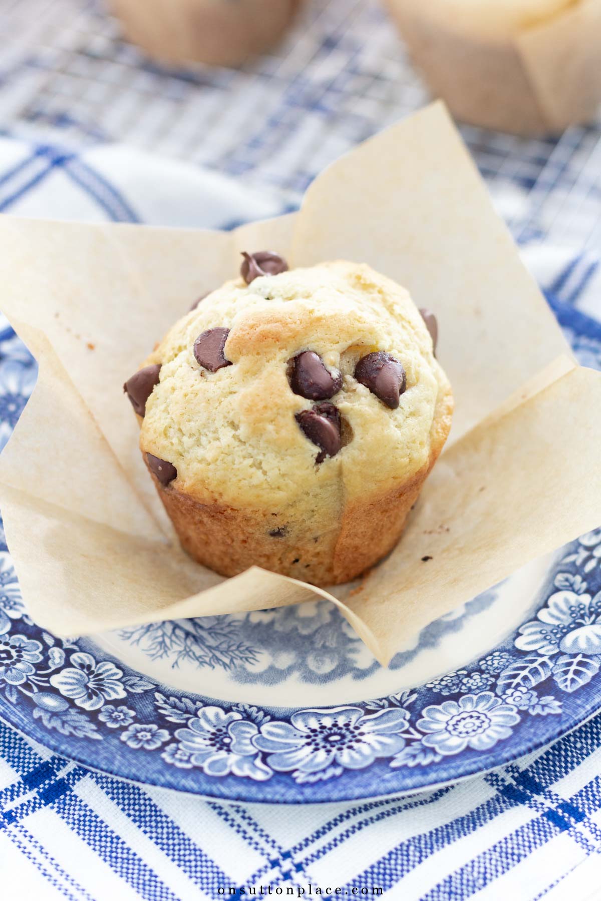 homemade chocolate chip muffin on blue plate
