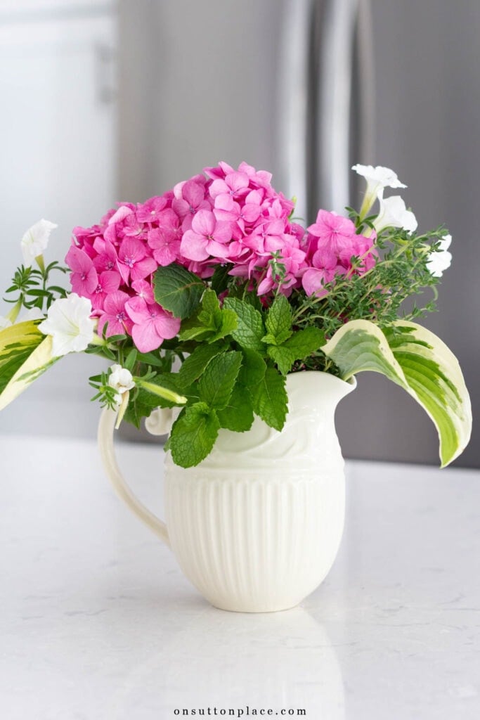 garden flowers hosta leaves and herbs in small white pitcher
