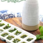 how to freeze basil tall pin with outline text