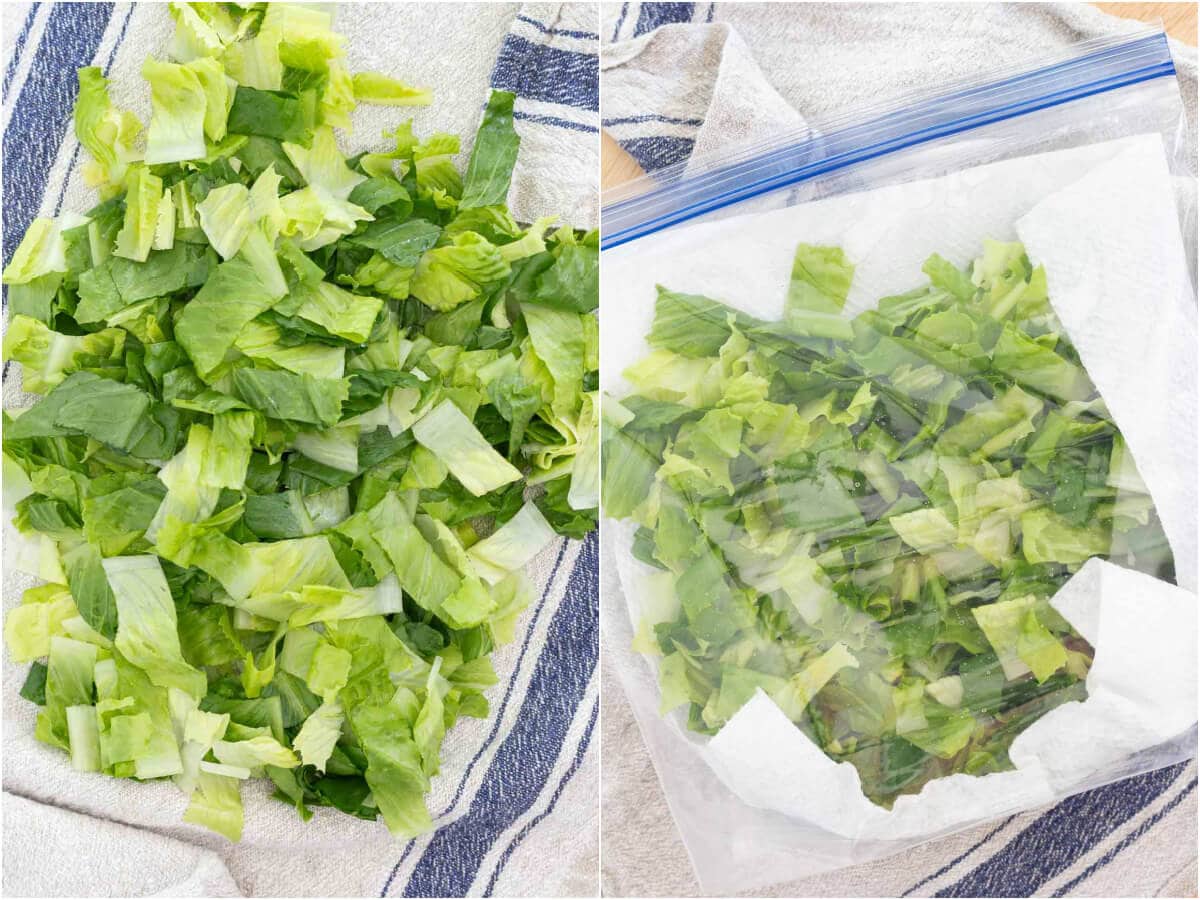 how to prep and store lettuce